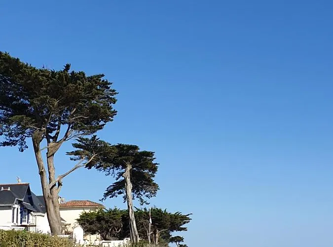 Genets D'armor Pornichet